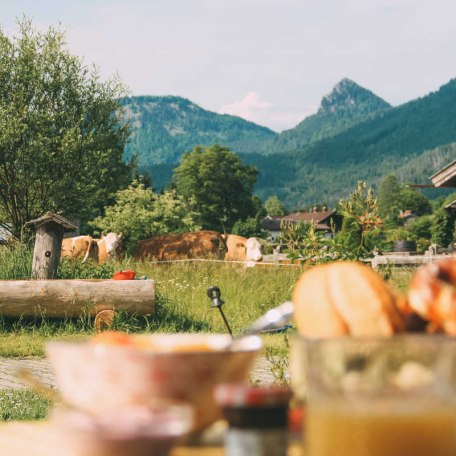 Das Frühstück kann man auch auf unsere Terrasse, mit wunderbarem Panorama, genießen., © im-web.de/ Tourist-Information Kreuth