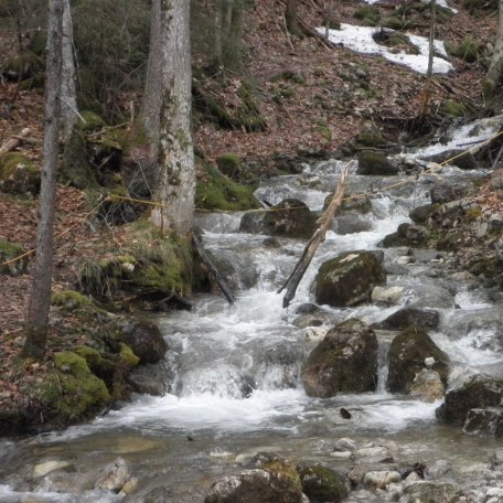 Der Wasserfall- klein aber fein, &copy; im-web.de/ Tourist-Information Kreuth