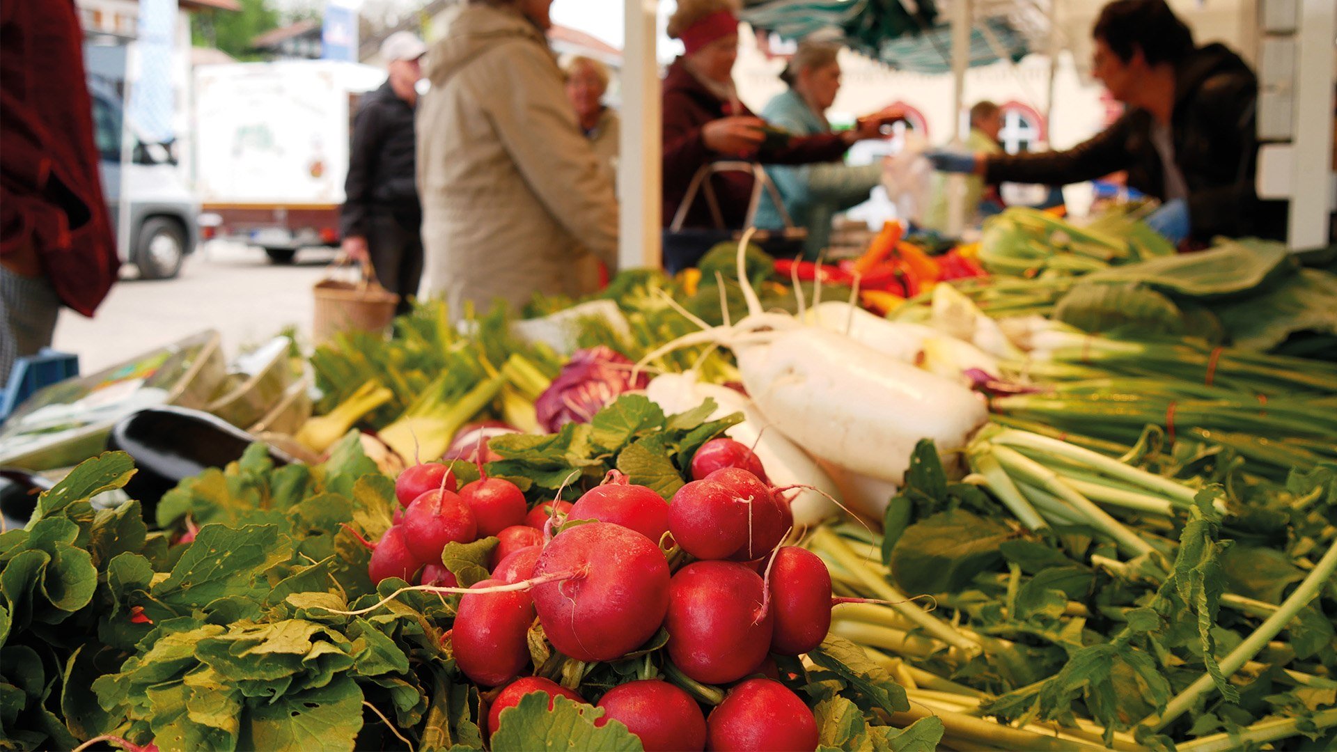 Gmunder Wochen- und Bauernmarkt EKF Gmunder Wochen- und Bauernmarkt EKF