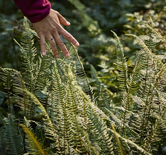 Waldbaden Herbst, © Der Tegernsee Waldbaden Herbst, © Der Tegernsee