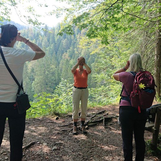Augenwandern, © Sabine Nagl