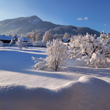Unser Obstgarten im Winter, &copy; im-web.de/ Tourist-Information Bad Wiessee