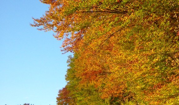 Einmal durch den Teufelsgraben, &copy; Alpenregion Tegernsee Schliersee