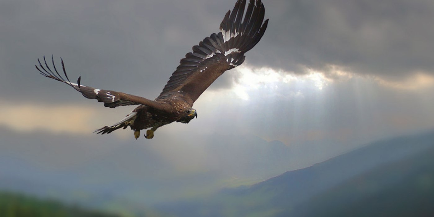 Tonis Steinadlerwanderung, &copy; AdobeStock