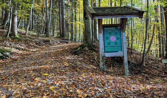 ttt_1123_mn_waldlehrpfad-laerchenwald_tegernsee_0033, © Der Tegernsee (Maria Nopper)