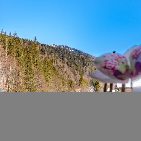 Blick aus dem Schlafzimmer - Ro&szlig;- und Buchstein, &copy; im-web.de/ Regionalentwicklung Oberland Kommunalunternehmen