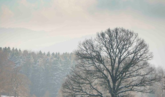 Auf den Jasberg, © Alpenregion Tegernsee Schliersee