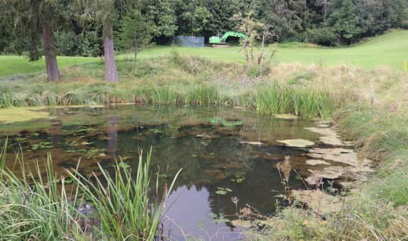 Quelle nahe der Ölkapelle, © Dr. Peter Czoik Quelle nahe der Ölkapelle, © Dr. Peter Czoik