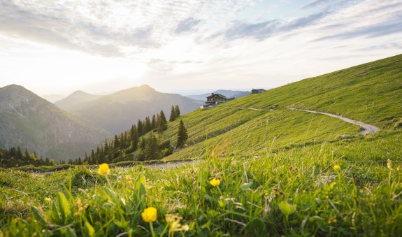 Wandernadel Ziele: Rundwege, &copy; Dietmar Denger