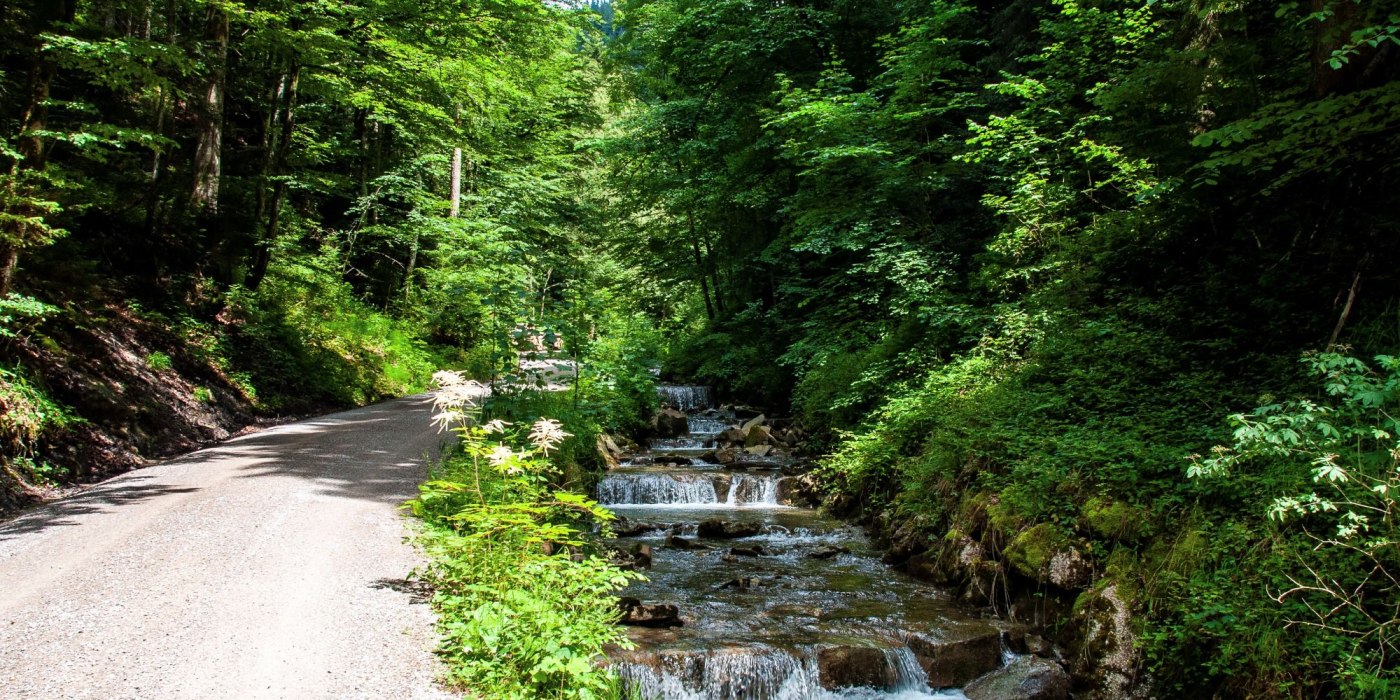 TTT_0720_SZM_Aktiv_Alpbachtal_Tegernsee-0001 2, © Der Tegernsee (Sabine Ziegler Musiol)