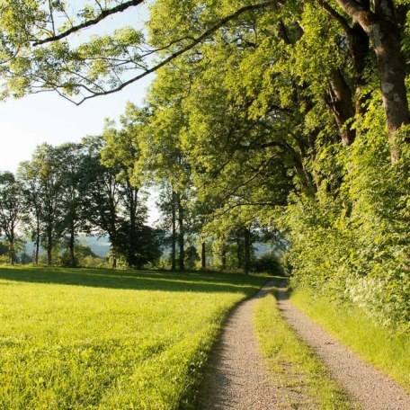 Rund um die Ferienwohnung, © im-web.de/ Tourist-Information Gmund am Tegernsee