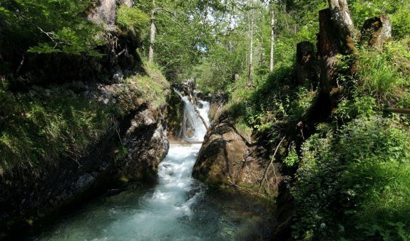 Kreuth-Langenau Weg, © Alpenregion Tegernsee Schliersee