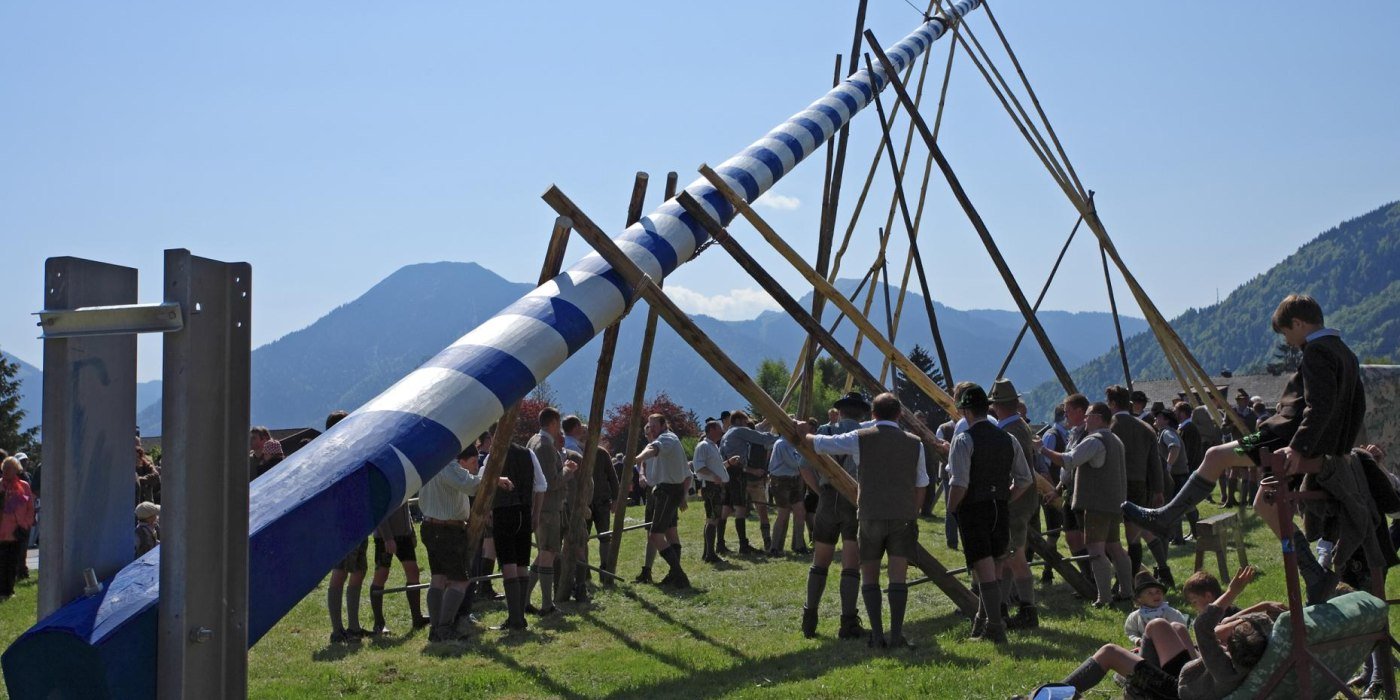 m_07_maibaum_1