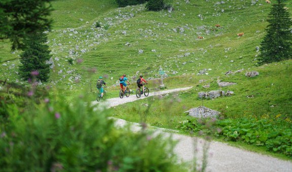 Sonnberg Tour (Tour Nr. 329 aus dem "RadlTraum Süd"), © Alpenregion Tegernsee Schliersee