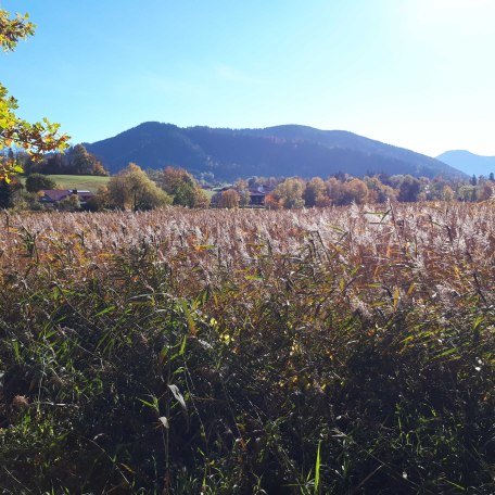 Gmund hat viel naturbelassene Uferregion, © im-web.de/ Tourist-Information Gmund am Tegernsee