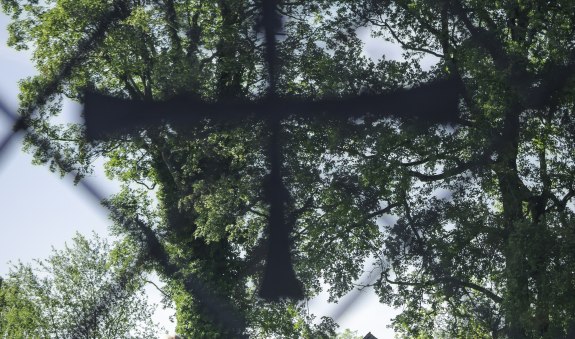 Bergfriedhof Gmund, &copy; Der Tegernsee, Dietmar Denger