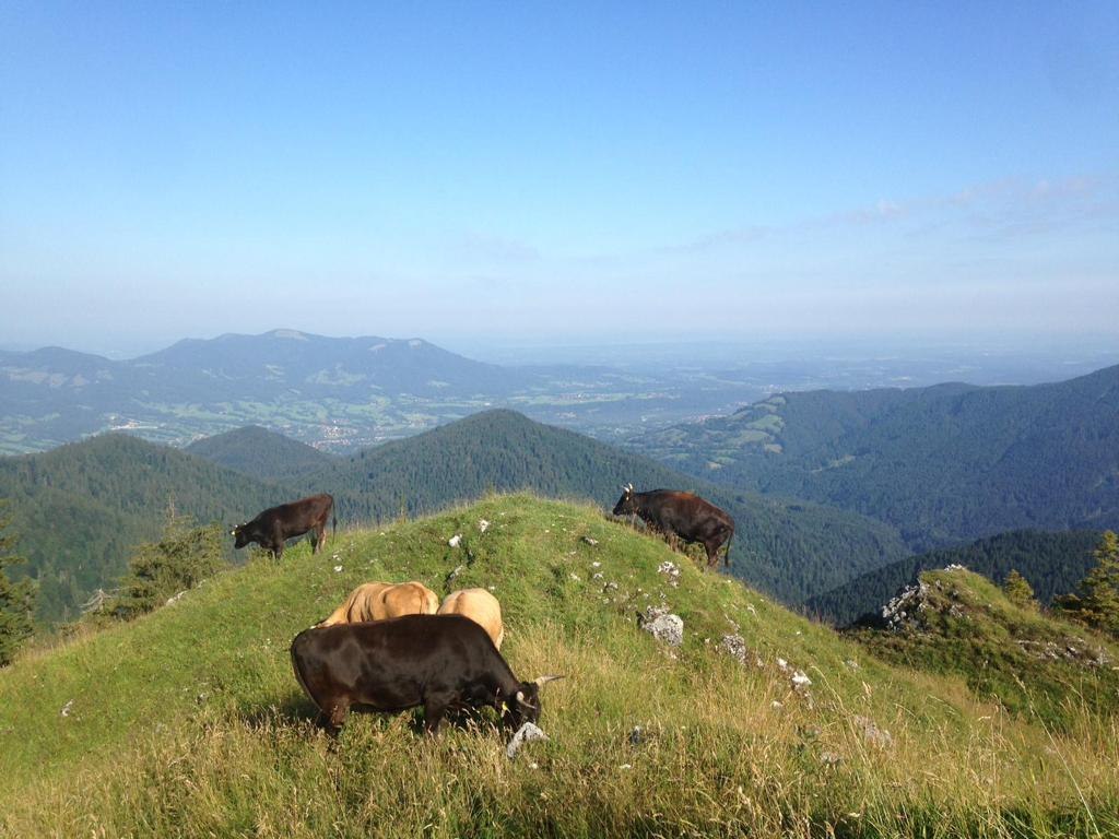 Sperrhof EKF, © Daniel Delang