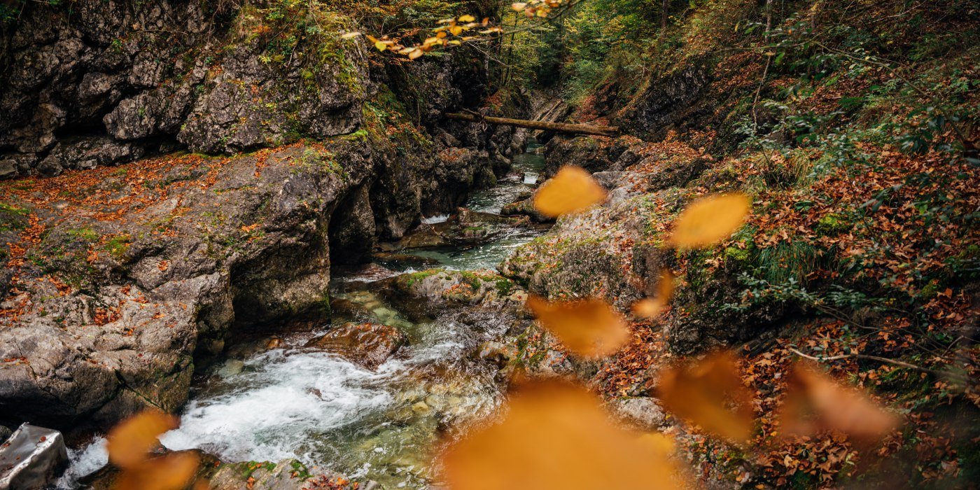 &copy; DER TEGERNSEE, Juliaan Rohn_Schwarzenbach_0042, &copy; DER TEGERNSEE