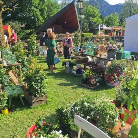 gartenblumentag2017