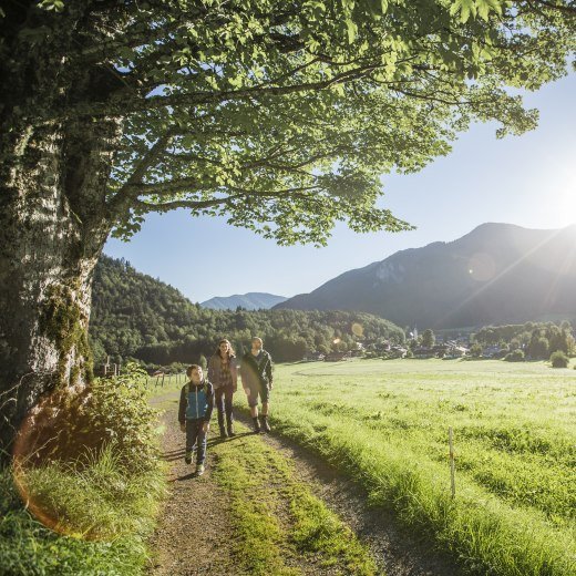 Family hike, © Der Tegernsee, Hansi Heckmair