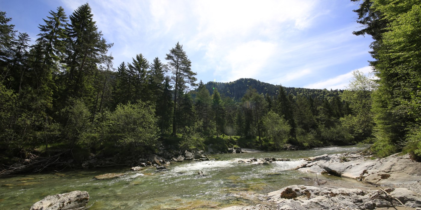 Landschaft Sommer an der Weißach, © Egbert Krupp