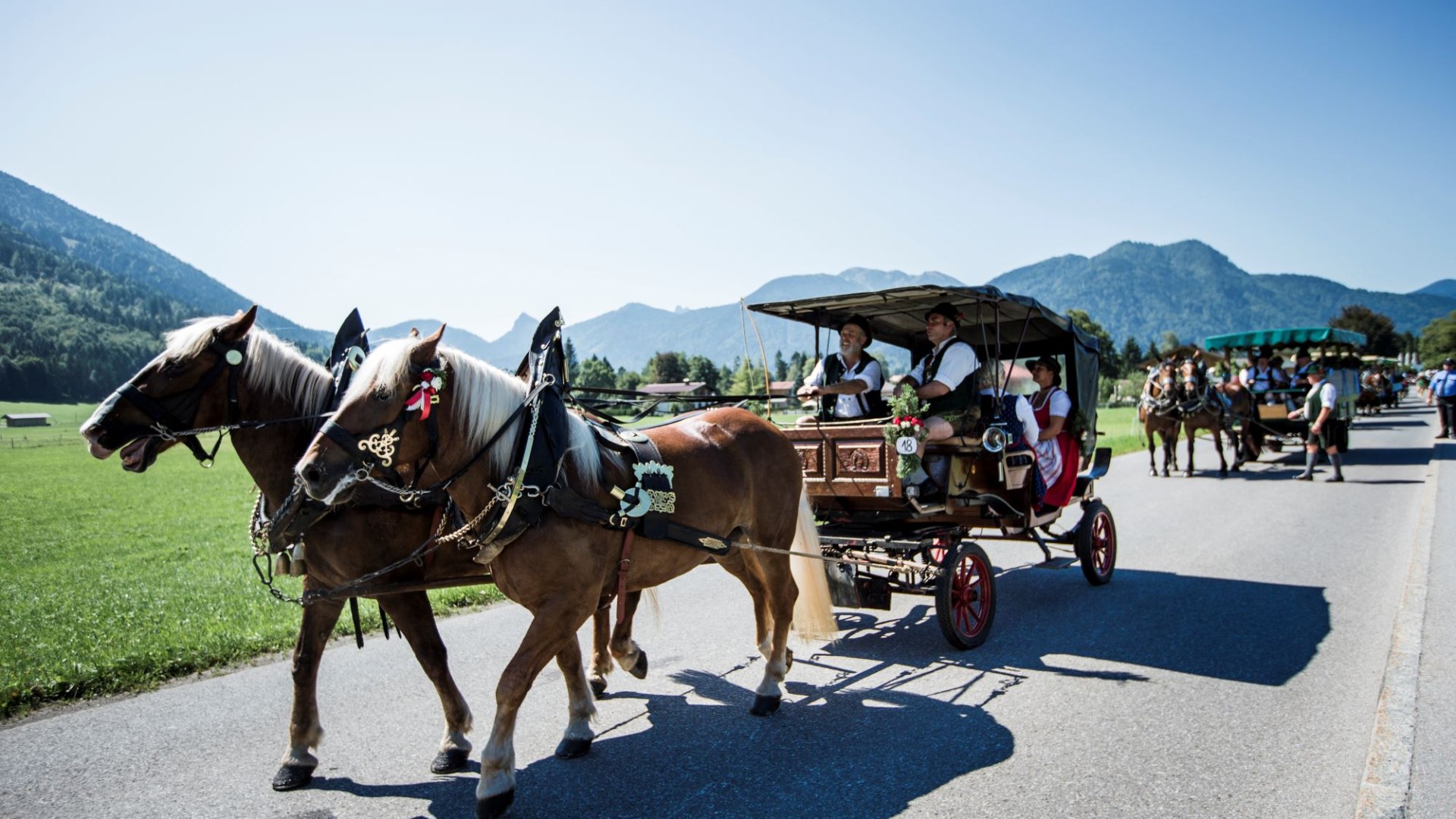 Rosstag 2024, © Der Tegernsee (Hansi Heckmair)