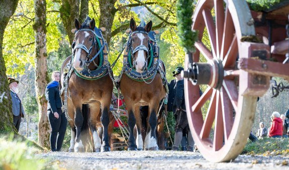 TTT_1124_TP_Brauchtum_Leonhardi_Kreuth_0082, © Thomas Plettenberg