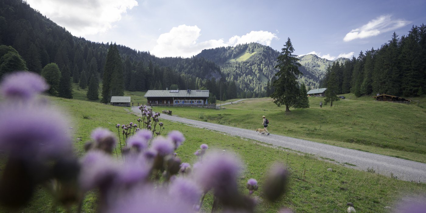 Die Schwarzentenn-Alm, © Der Tegernsee
