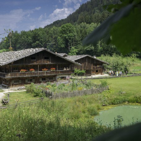 familie-klein-33 familie-klein-33