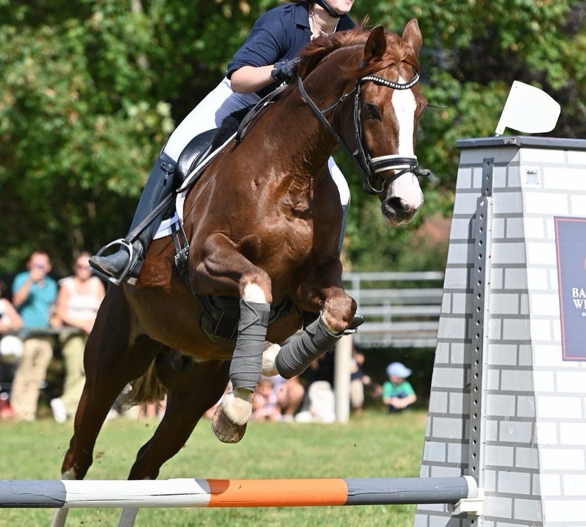 Reitturnier2 Sommer 2025, © Katharina Moster