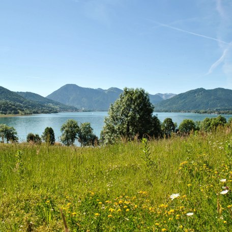 Tegernsee bei Kaltenbrunn, © ©grafiphant