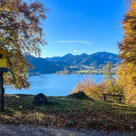ttt_1123_mn_waldlehrpfad-laerchenwald_tegernsee_0008, &copy; Der Tegernsee (Maria Nopper)