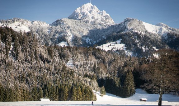 Zwischen Geitau und Bayrischzell, © Alpenregion Tegernsee Schliersee Zwischen Geitau und Bayrischzell, © Alpenregion Tegernsee Schliersee