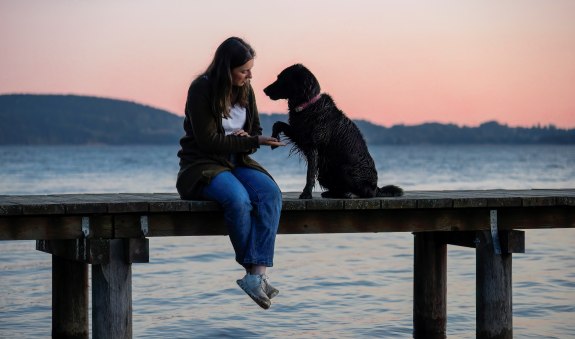 Hund, © Schnitzer´s Dahoam