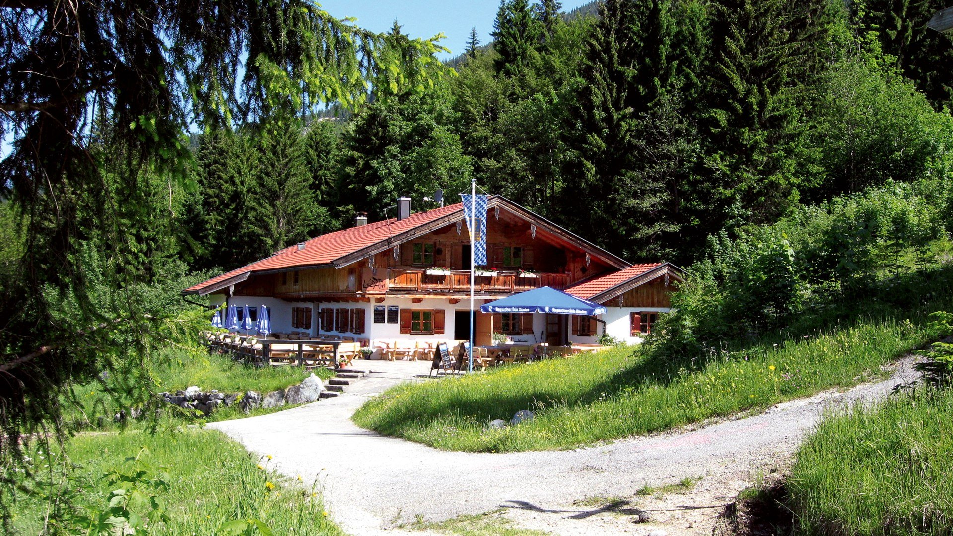 Lukas Alm