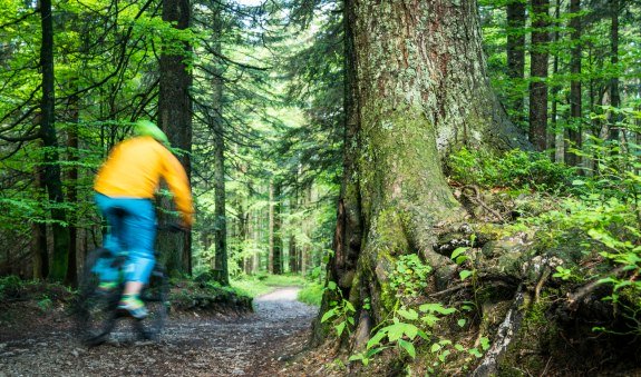 Prinzenweg Rundtour (Tour Nr. 19 aus dem "RadlTraum S&uuml;d"), &copy; Alpenregion Tegernsee Schliersee