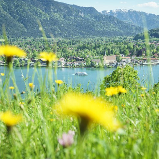 Frühlingsbild Blick auf Rottach-Egern Frühlingsbild Blick auf Rottach-Egern