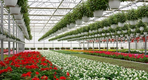 G&auml;rtnerei, &copy; Freepik