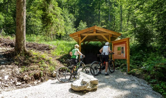 bodenerlebnispfad013