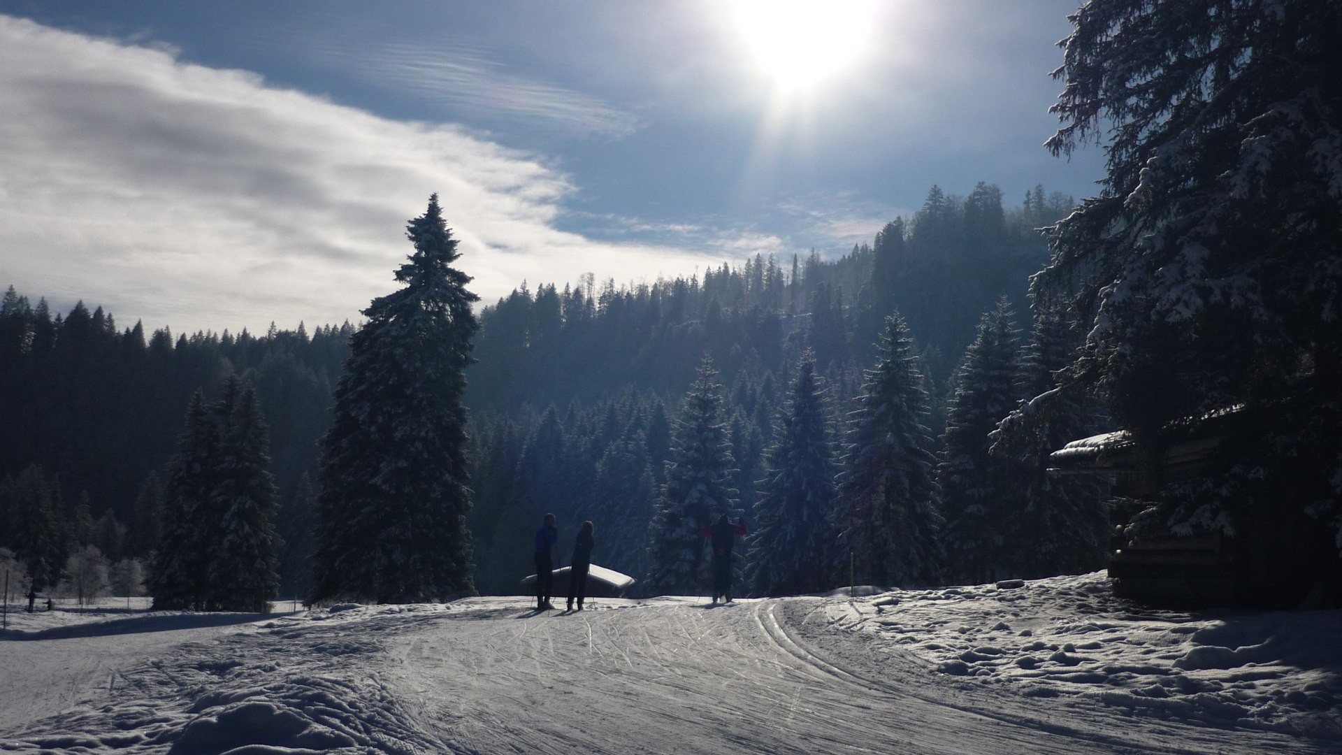 Langlauf_1_BP Langlauf_1_BP