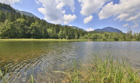 Suttensee, &copy; DER TEGERNSEE