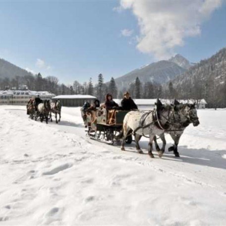 hauseigene Kutschen- und Pferdeschlittenfahrten, © im-web.de/ Tourist-Information Kreuth