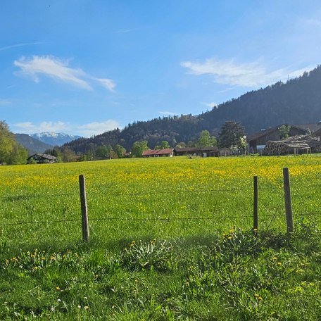 Ausblick in die Berge, &copy; by S. H.-P.
