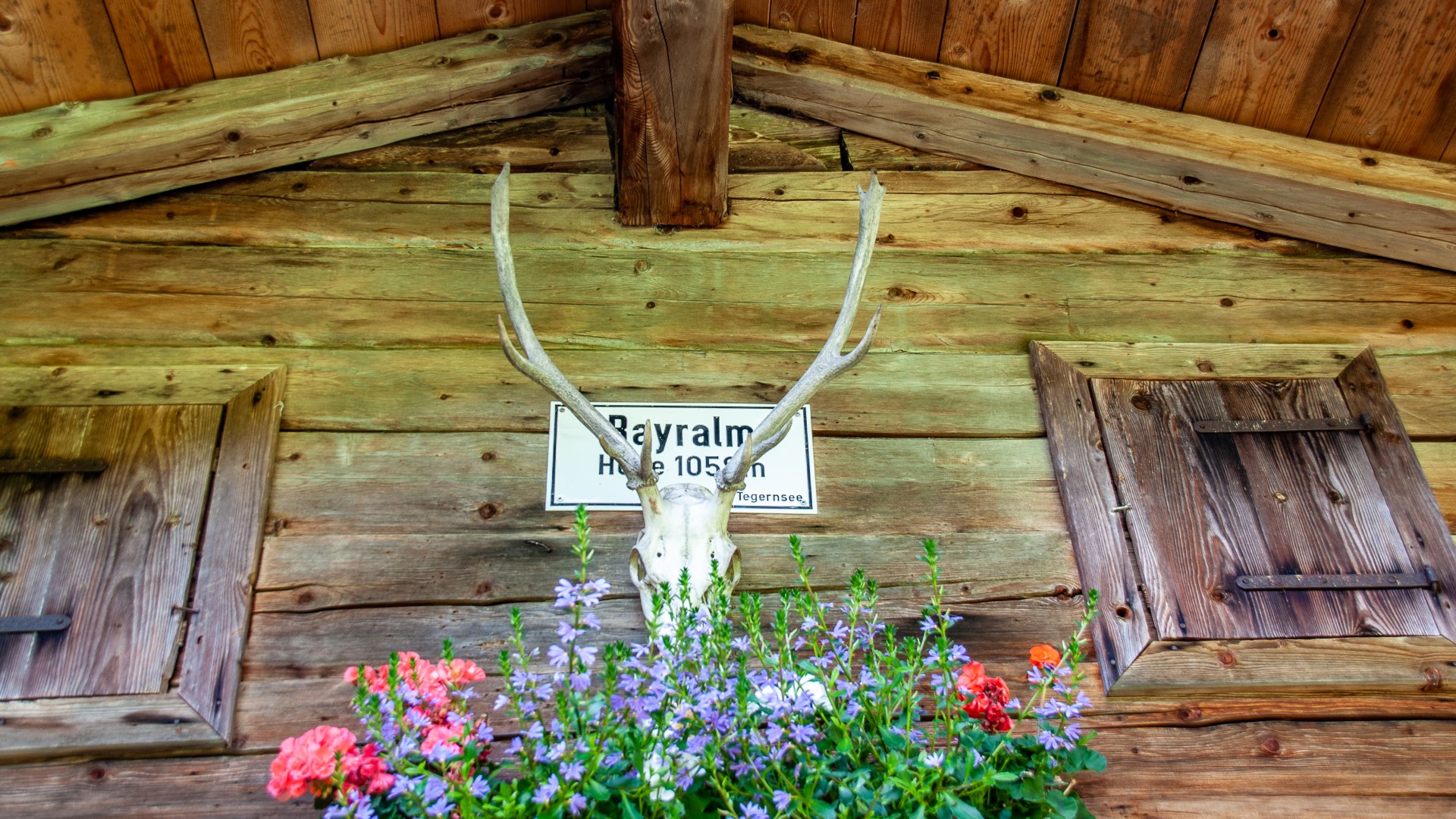 Bayralm Kreuth, &copy; DER TEGERNSEE