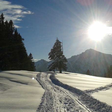 Winterwanderung , Wahlmoos, Weg zur Aueralm, © im-web.de/ Tourist-Information Bad Wiessee