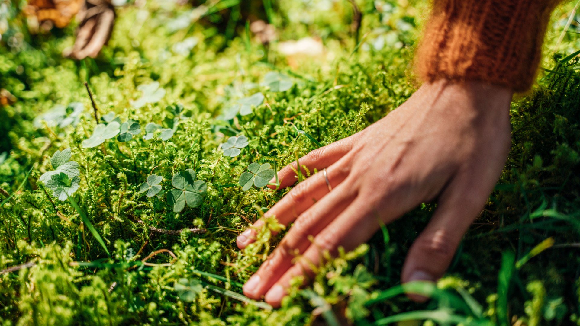 TTT_0823_JR_Waldbaden_Kreuth-0035, &copy; JR