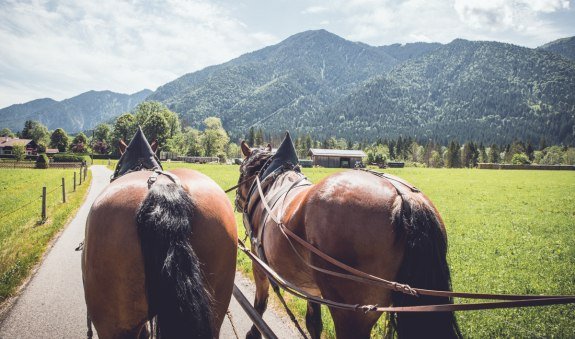 TTT_0619_MM_Brauchtum_Pferdekutschenfahrt_Rottach-0005, &copy; DER TEGERNSEE