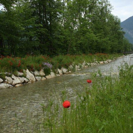 https://d1pgrp37iul3tg.cloudfront.net/objekt_pics/obj_full_31350_017.jpg, © im-web.de/ Tourist-Information Rottach-Egern