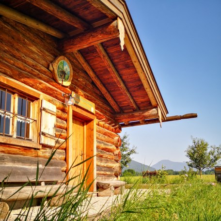 Lehrbienenstand Gmund Bild 9, © Bezirksimkerverein Gmund - Tegernseer Tal und Umgebung e. V.