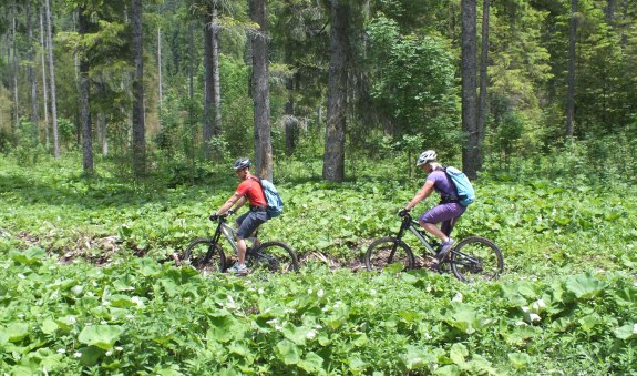 mountain_bike_tour mountain_bike_tour